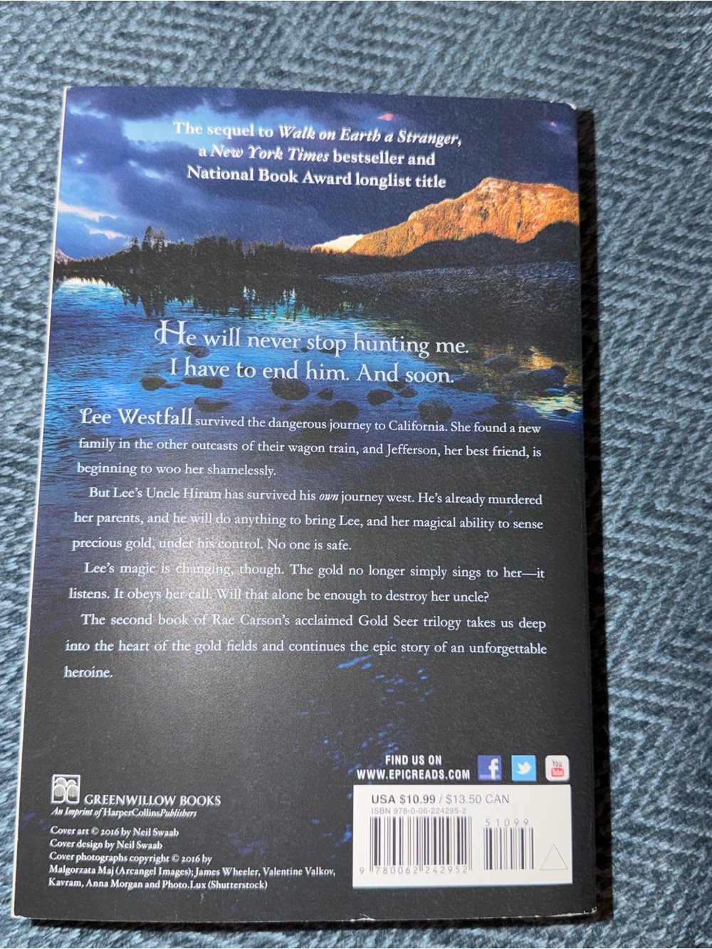 Like a River Glorious by Rae Carson - Picture 3 of 5